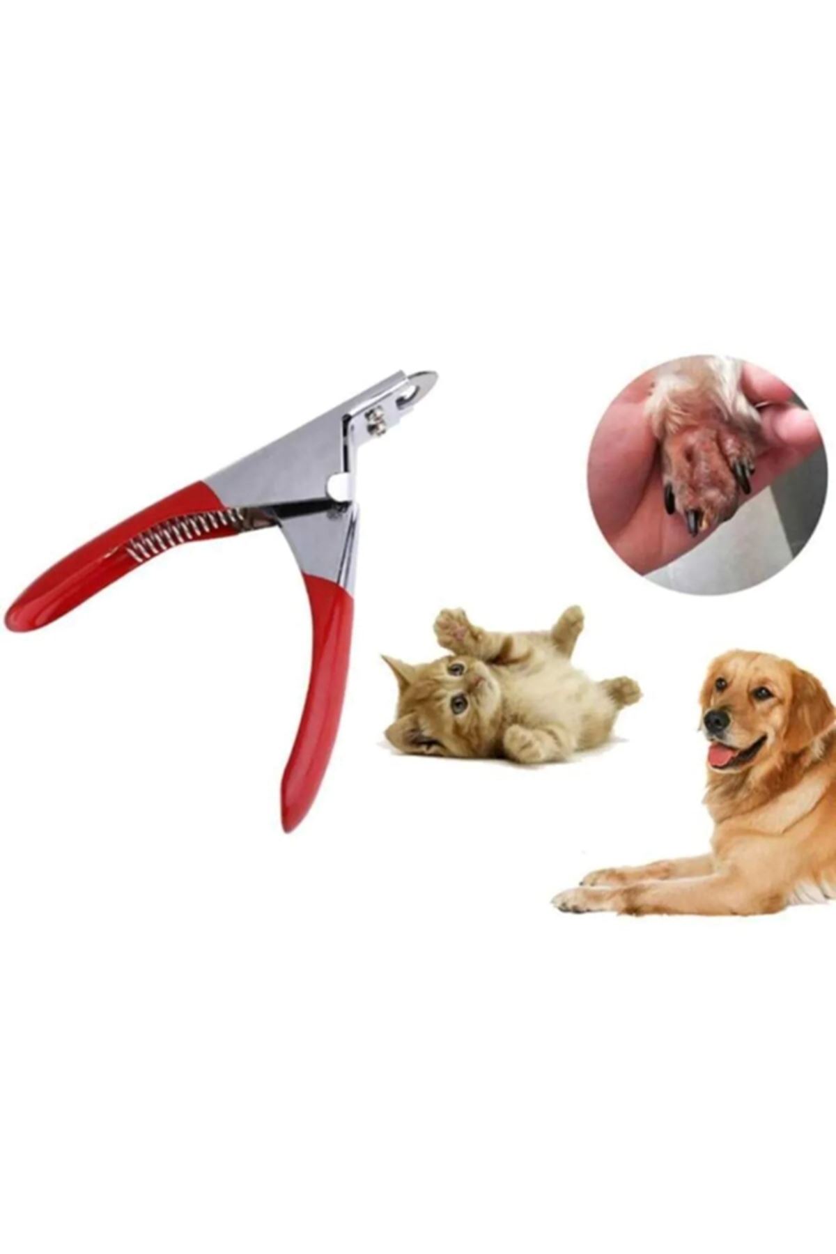 Evcil Hayvan Giyotin Tırnak Makası