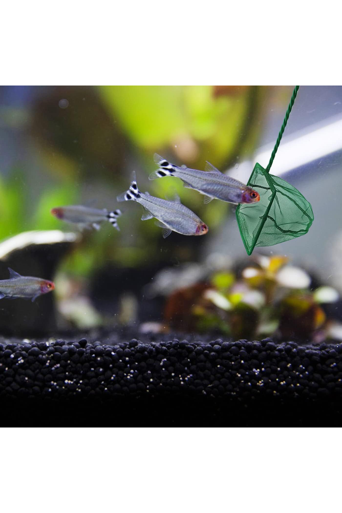 Akvaryum Balık Kepçesi 12 cm.