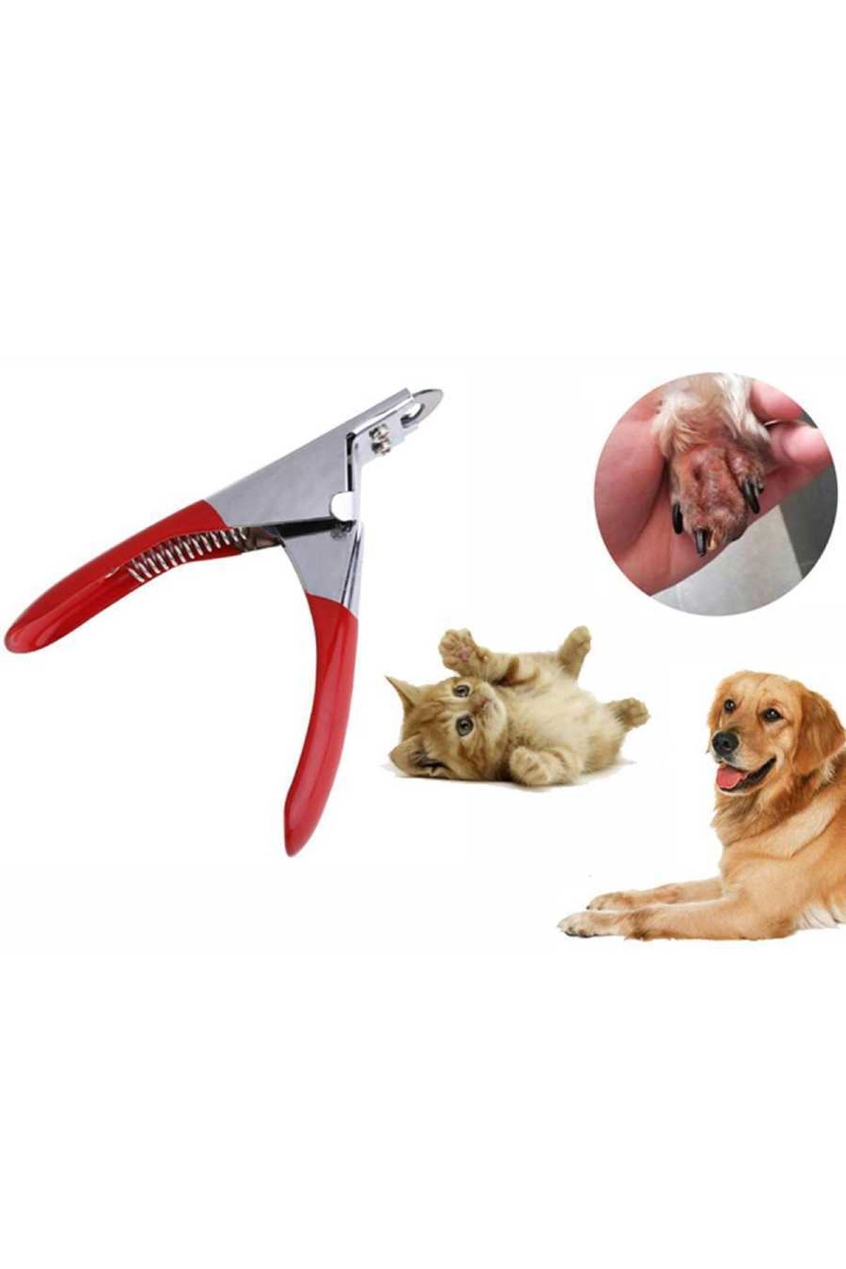 Kedi Köpek Giyotin Tırnak Makası