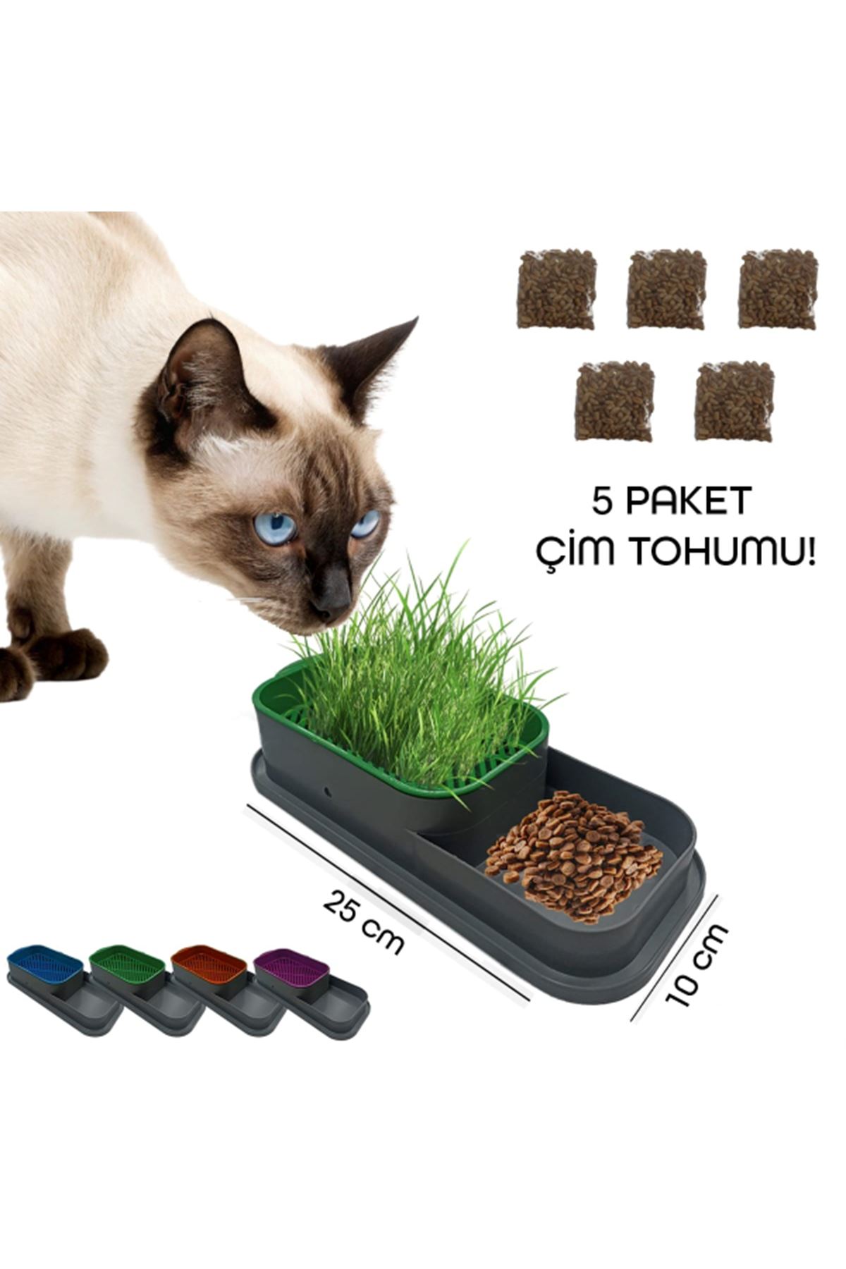 Topraksız Kedi Çimi Kabı