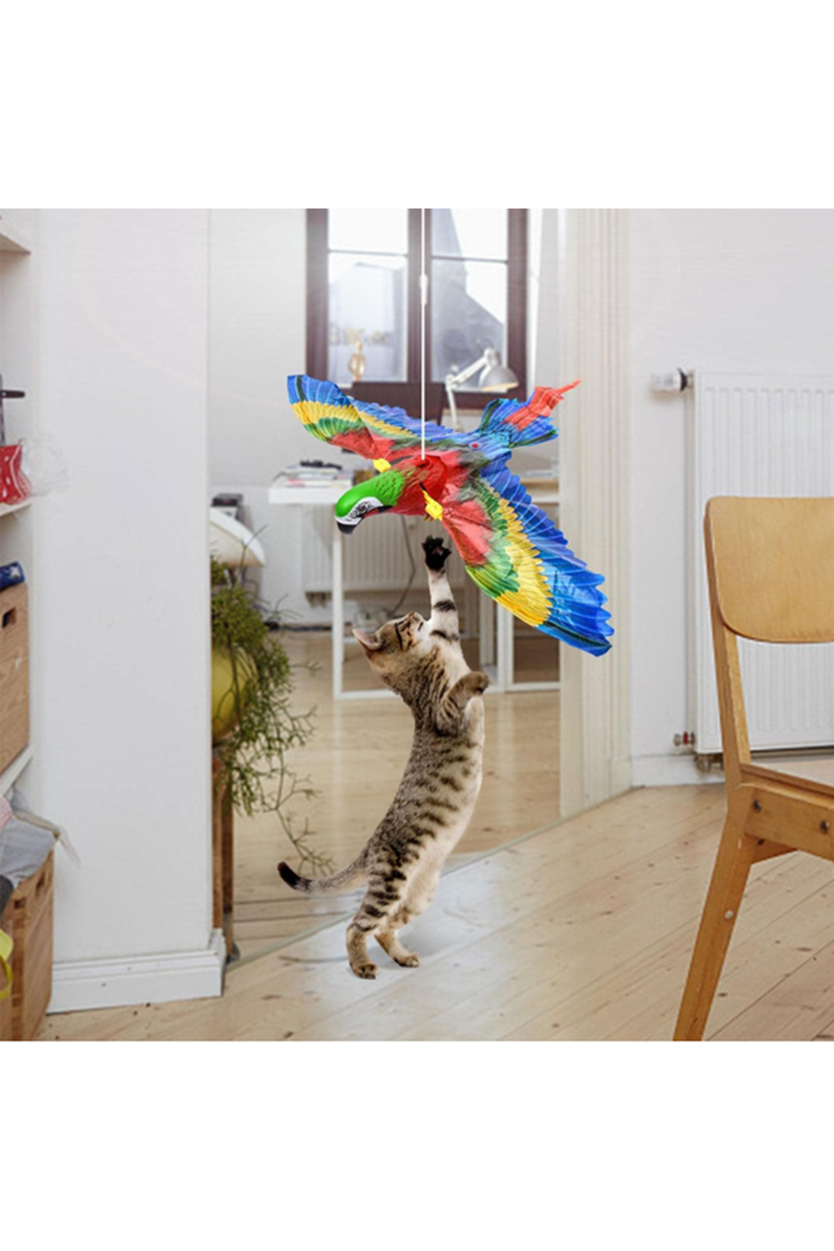 Uçan Papağan Kedi Oyuncağı