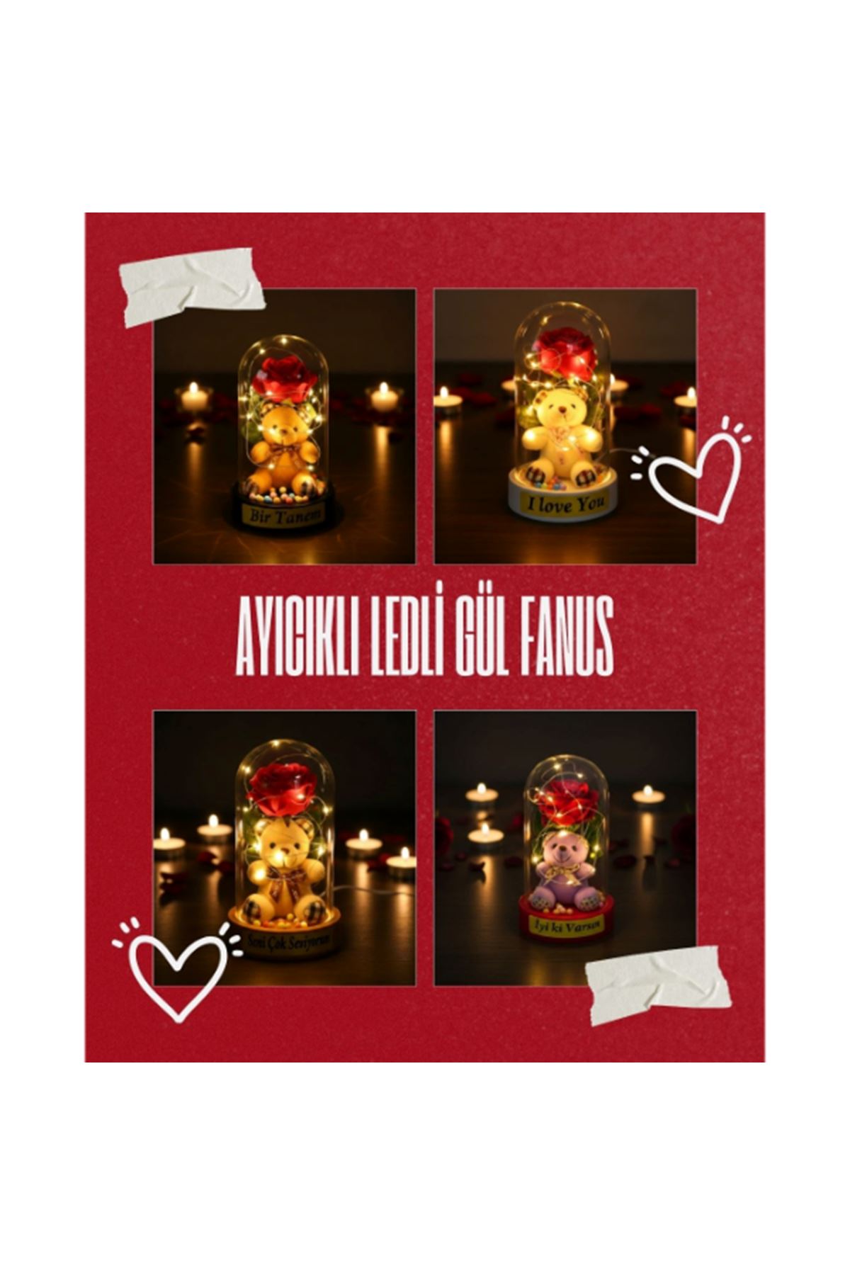 Ayıcıklı Ledli Gül Fanus