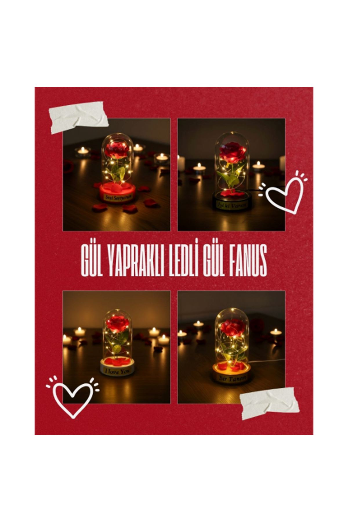 Gül Yapraklı Ledli Gül Fanus