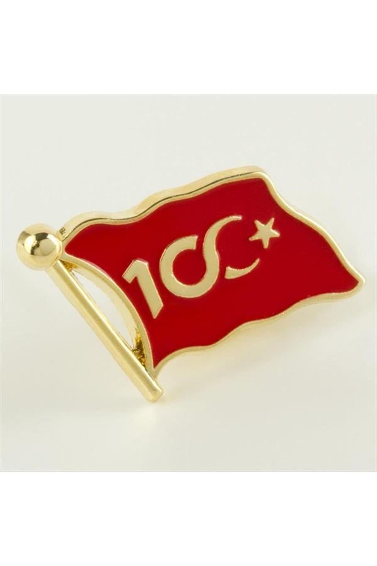 Cumhuriyetin 100. Yılına Özel Yaka Rozet - Gümüş Rengi