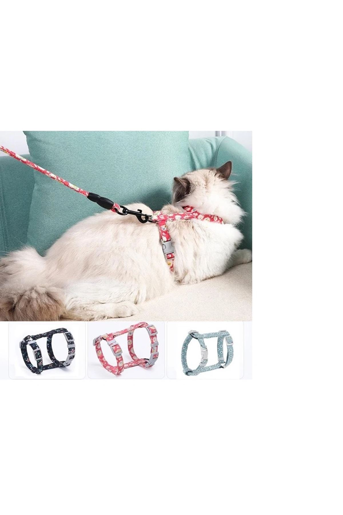 Kedi Gezdirme Göğüs Tasması