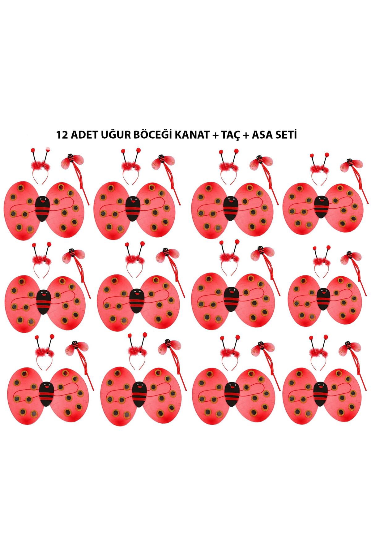 Uğur Böceği Kostüm Seti - Kanat, Taç, Asa 12 Adet
