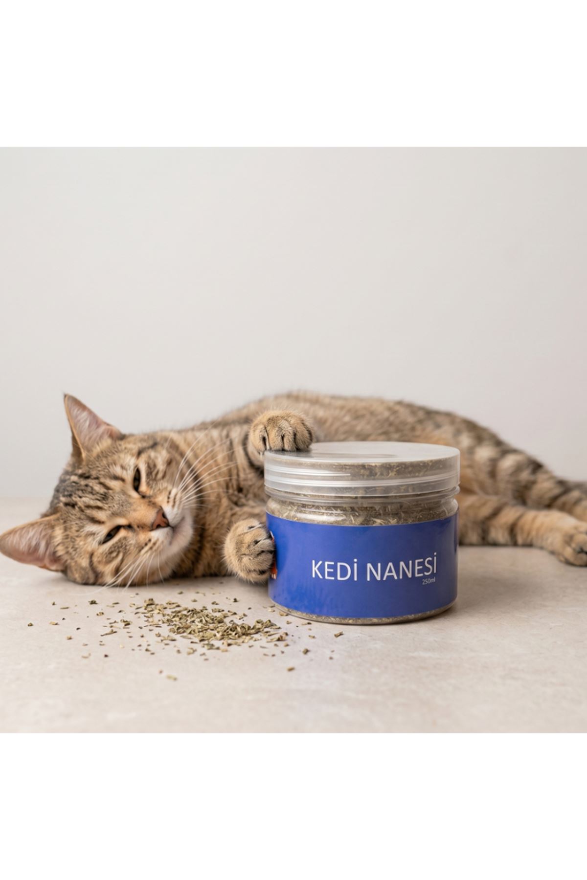 Doğal Kedi Nanesi (Catnip) - 250 ml Kavanoz - Eğlenceli ve Doğal