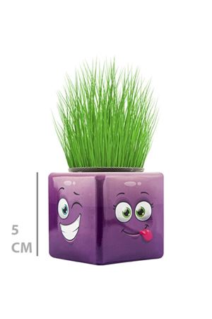 Çim Adam Mini Küp Emoji Figürlü 1 Adet