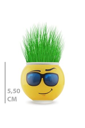 Çim Adam Saksı Emoji Figürlü 1 Adet