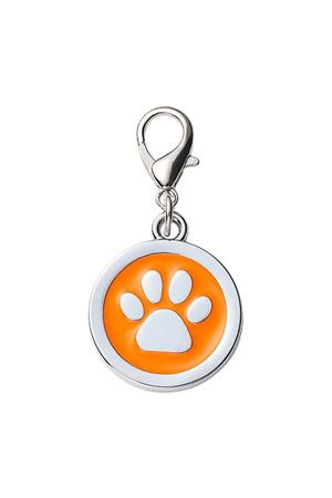 Evcil Hayvan Klipsli Tasma Künyesi