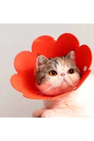 Evcil Hayvan L Boy Keçe Elizabeth Yakalığı