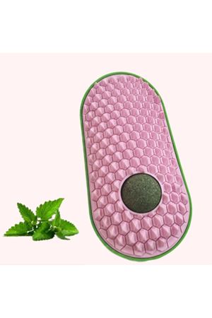 Silikon Kaşıyıcılı Kedi Otu