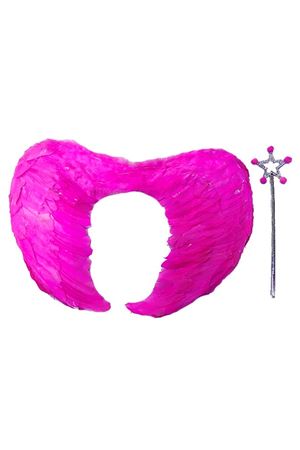 Gerçek Tüylü Katlanabilir Melek Kanadı Seti