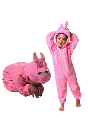 Çocuk Tavşan Kostümü Pembe Renk 2-3 Yaş