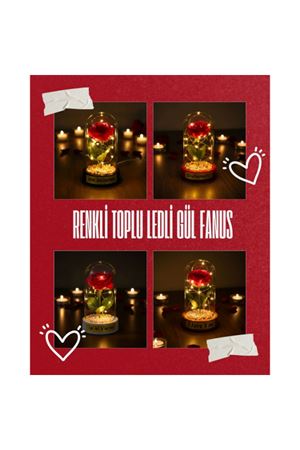 Renkli Toplu Ledli Gül Fanus