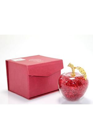 Dekoratif Cam Küre Model 1