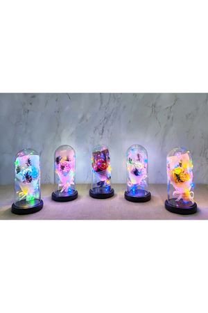 Işıklı Müzikli Fanus içinde Gül Buketi