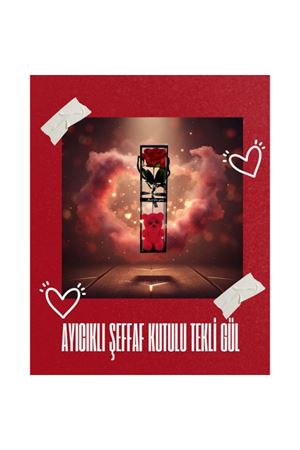 Ayıcıklı Şeffaf Kutulu Tekli Gül