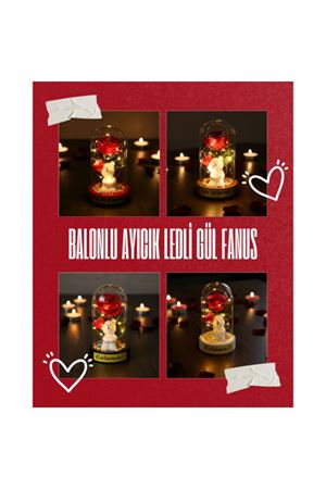 Balonlu Ayıcık Ledli Gül Fanus