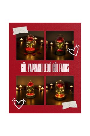 Gül Yapraklı Ledli Gül Fanus