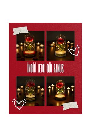 İncili Ledli Gül Fanus