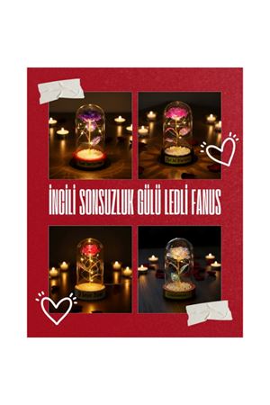 İncili Sonsuzluk Gülü Ledli Fanus