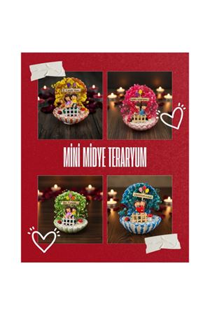 Mini Midye Teraryum - Özel Gün Hediyesi