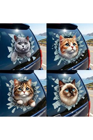 Fulcar Kedi Tasarımlı Araç Stickerı