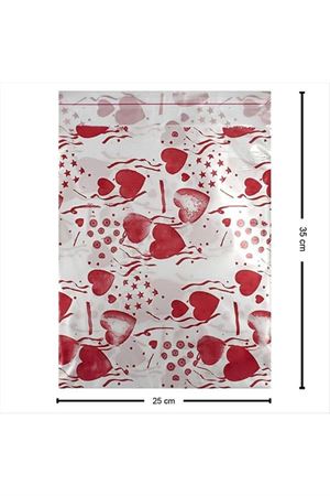 25*35 Hediye Poşet Paketi 100'lü - Karışık Renk 1