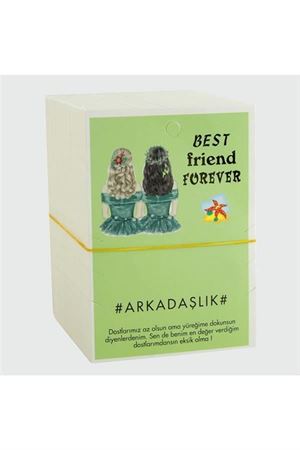 3'lü Arkadaşlık Bileklik Kartı - Yeşil