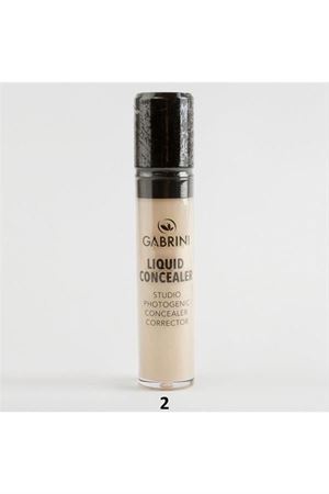 Gabrini Kapatıcı - Model-2