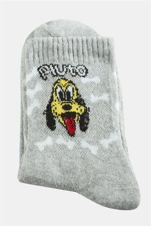 Köpek Kolej Çorap 8*28 - Gri