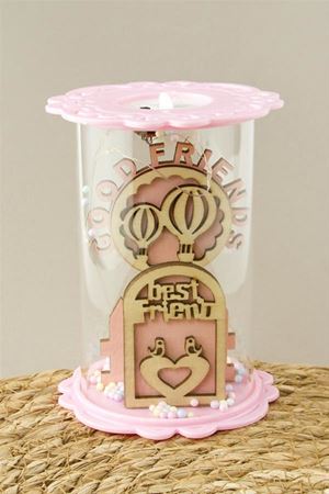 Balon Kuş Ahşap Işıklı Led Fanus - Pembe