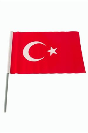 Ay Yıldız Türk Bayrağı 20*30 cm - Kırmızı