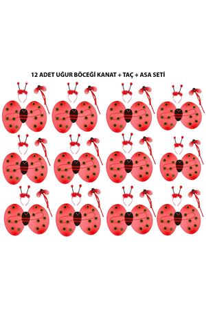 Uğur Böceği Kostüm Seti - Kanat, Taç, Asa 12 Adet