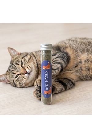 Doğal Kedi Nanesi (Catnip) - 45 ml Tüp - Pratik ve Taze