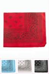 Oval Desenli Keten Bandana 50*50 - Ebruli