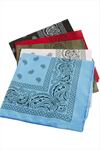 Oval Desenli Keten Bandana 50*50 - Ebruli