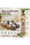 Dekoratif Vazo Taşı - Midye ve Deniz Kabuğu - Fileli Renkli Mix